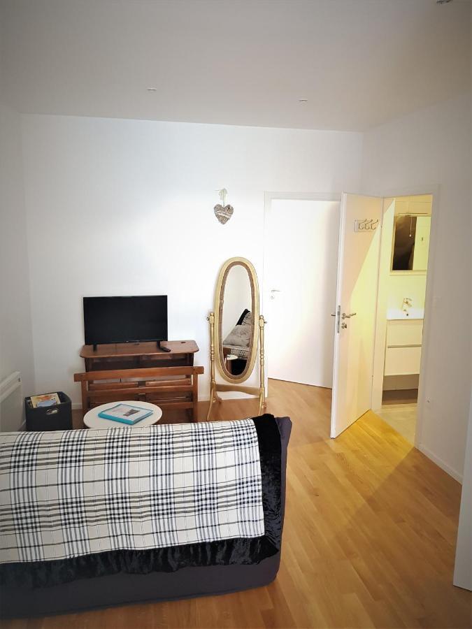 Au Gre De L'Ill 'L'Ill' Apartment Horbourg Екстериор снимка