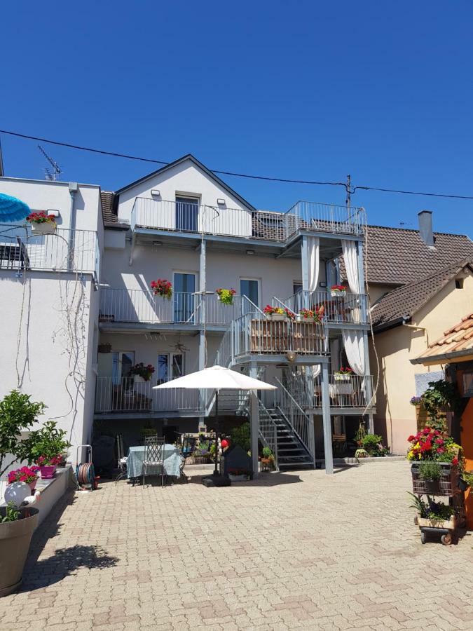 Au Gre De L'Ill 'L'Ill' Apartment Horbourg Екстериор снимка